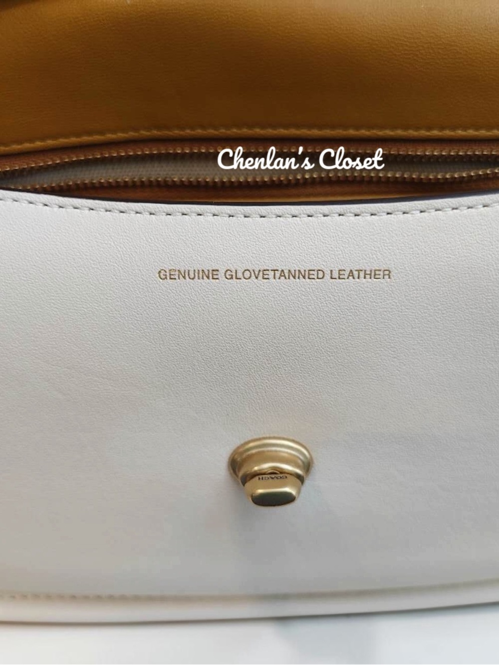 Coach Cashin Carry Crescent Bag NeW - Picture 13 of 15
